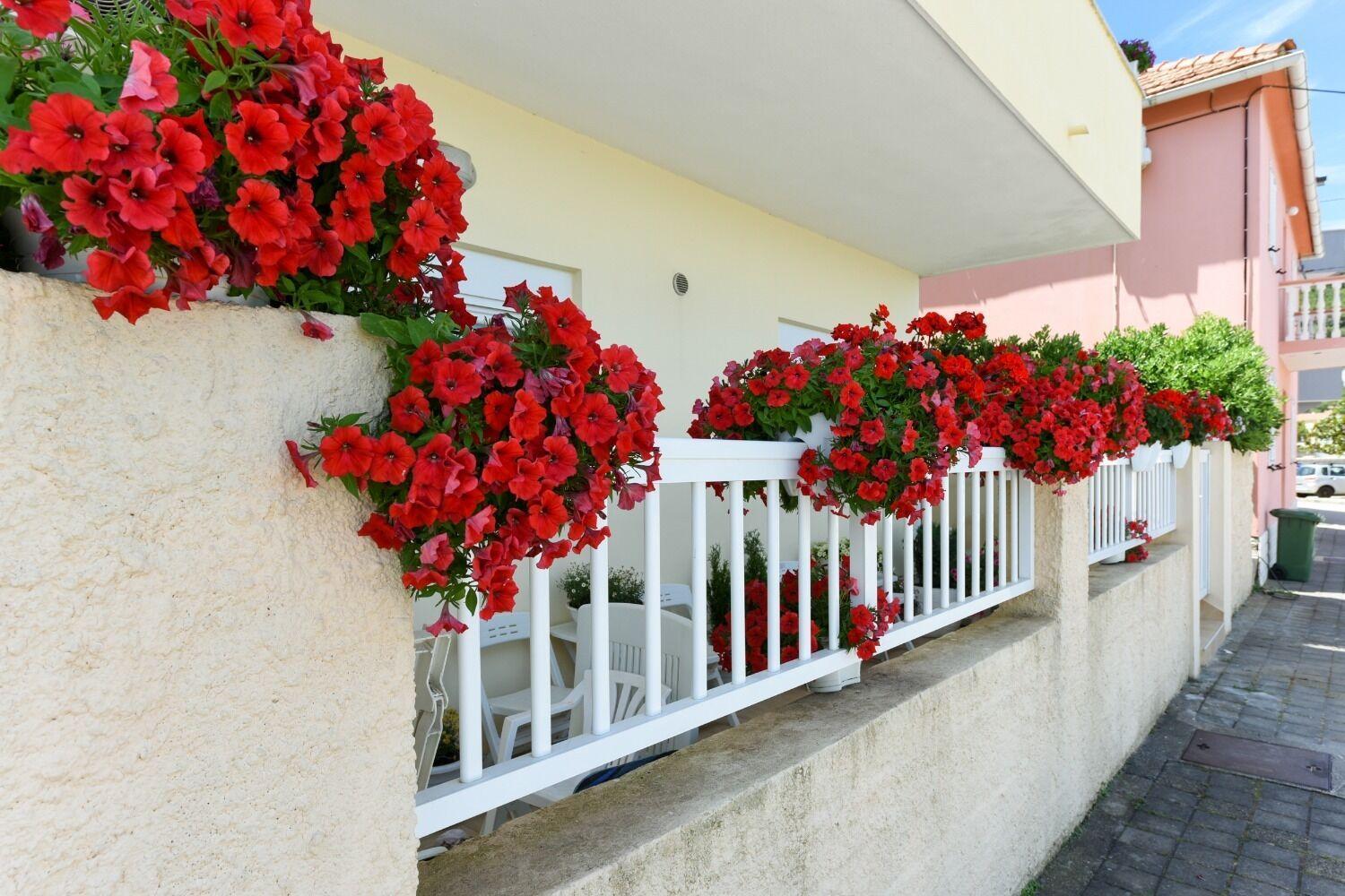 Apartments Kolt - 15M From Sea Kali Luaran gambar